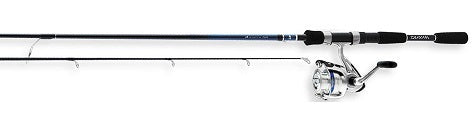 Daiwa Combo D-Shock Spinning Combo 2BB 6' 6" 2pc M