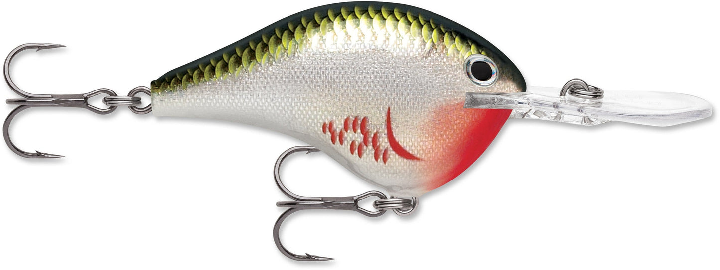 Rapala DT Series 10' 3/5oz 2.25in Bleeding Olive Shiner