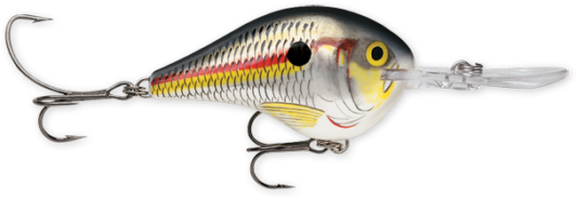 Rapala DT Series 10' 3/5oz 2.25in Shad