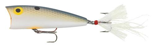 Rebel Small Pop-R 1/8 Foxy Shad