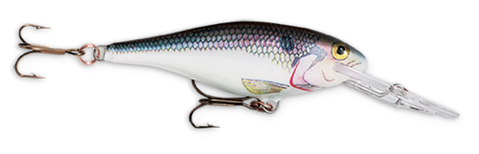 Rapala Shad Rap 2" 3/16 Shad